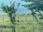 Pocatello Real Estate - MLS #574566 - Photograph #29