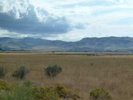 Pocatello Real Estate - MLS #575102 - Photograph #1