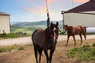 Pocatello Real Estate - MLS #575990 - Photograph #44