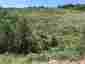 Pocatello Real Estate - MLS #576607 - Photograph #5