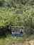 Pocatello Real Estate - MLS #576607 - Photograph #6