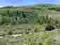 Pocatello Real Estate - MLS #576607 - Photograph #7