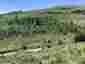 Pocatello Real Estate - MLS #576607 - Photograph #9