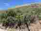 Pocatello Real Estate - MLS #576607 - Photograph #10