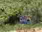 Pocatello Real Estate - MLS #576607 - Photograph #11