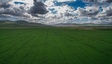 Pocatello Real Estate - MLS #576609 - Photograph #10