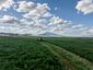 Pocatello Real Estate - MLS #576609 - Photograph #12