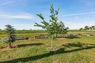 Pocatello Real Estate - MLS #576758 - Photograph #34