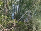 Pocatello Real Estate - MLS #576787 - Photograph #10