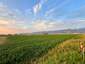 Pocatello Real Estate - MLS #576954 - Photograph #3