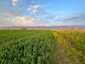 Pocatello Real Estate - MLS #576954 - Photograph #4