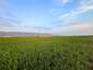 Pocatello Real Estate - MLS #576954 - Photograph #5