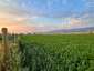 Pocatello Real Estate - MLS #576954 - Photograph #6