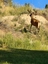 Pocatello Real Estate - MLS #576956 - Photograph #37