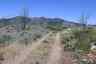 Pocatello Real Estate - MLS #576957 - Photograph #39