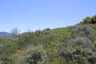 Pocatello Real Estate - MLS #576957 - Photograph #45