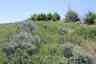 Pocatello Real Estate - MLS #576957 - Photograph #12