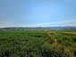 Pocatello Real Estate - MLS #576970 - Photograph #5