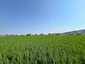 Pocatello Real Estate - MLS #576970 - Photograph #6