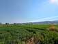 Pocatello Real Estate - MLS #576970 - Photograph #7