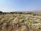 Pocatello Real Estate - MLS #576973 - Photograph #13