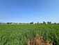 Pocatello Real Estate - MLS #576974 - Photograph #5