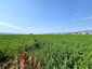 Pocatello Real Estate - MLS #576974 - Photograph #8