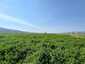 Pocatello Real Estate - MLS #576977 - Photograph #4