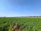 Pocatello Real Estate - MLS #576977 - Photograph #5