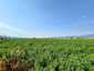 Pocatello Real Estate - MLS #576977 - Photograph #6