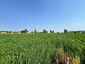 Pocatello Real Estate - MLS #576977 - Photograph #9