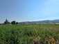 Pocatello Real Estate - MLS #576978 - Photograph #10