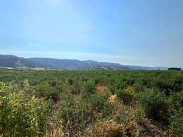 Pocatello Real Estate - MLS #576980 - Photograph #1