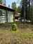 Pocatello Real Estate - MLS #576997 - Photograph #10