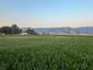 Pocatello Real Estate - MLS #577010 - Photograph #5