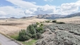 Pocatello Real Estate - MLS #577269 - Photograph #39