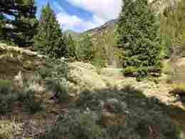 Pocatello Real Estate - MLS #577369 - Photograph #1