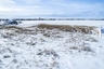 Pocatello Real Estate - MLS #577373 - Photograph #16