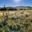 Pocatello Real Estate - MLS #577566 - Photograph #28