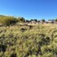 Pocatello Real Estate - MLS #577566 - Photograph #30