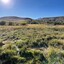 Pocatello Real Estate - MLS #577566 - Photograph #33