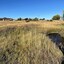 Pocatello Real Estate - MLS #577566 - Photograph #43