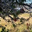 Pocatello Real Estate - MLS #577566 - Photograph #49