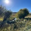 Pocatello Real Estate - MLS #577566 - Photograph #4