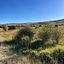 Pocatello Real Estate - MLS #577566 - Photograph #6