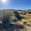 Pocatello Real Estate - MLS #577566 - Photograph #9