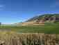 Pocatello Real Estate - MLS #577582 - Photograph #7