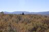 Pocatello Real Estate - MLS #577584 - Photograph #31