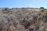 Pocatello Real Estate - MLS #577584 - Photograph #4