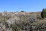 Pocatello Real Estate - MLS #577584 - Photograph #8